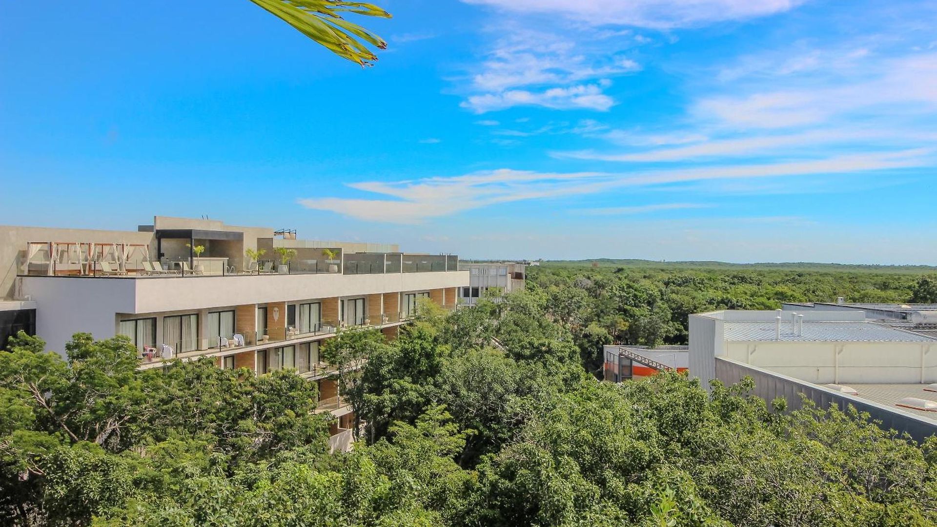 Luxury With Rooftop Pool In Location Apartment *