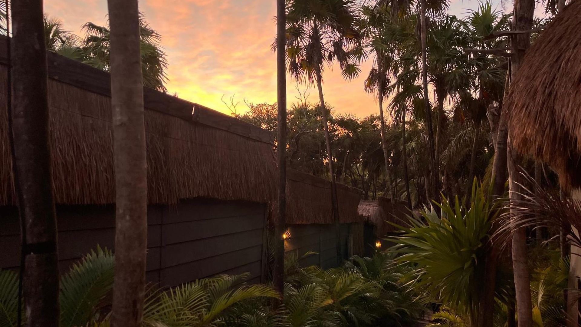 Amana , Front Tulum