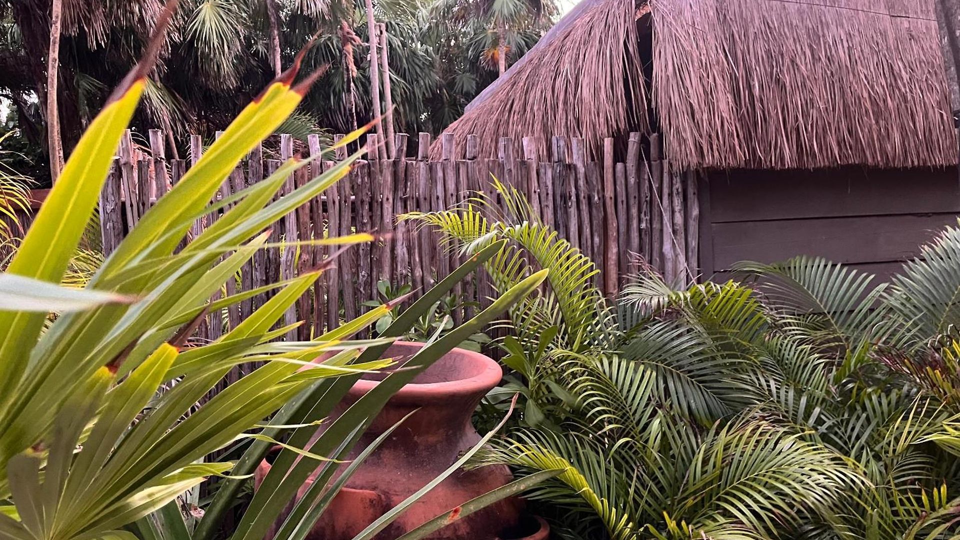 Amana , Front * Tulum