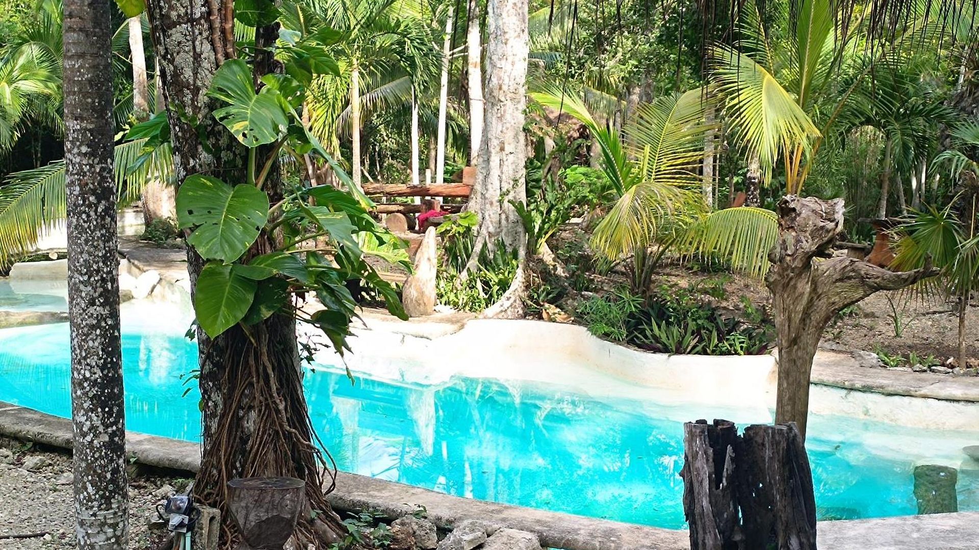 Campsite Space For Your Tent Tulum