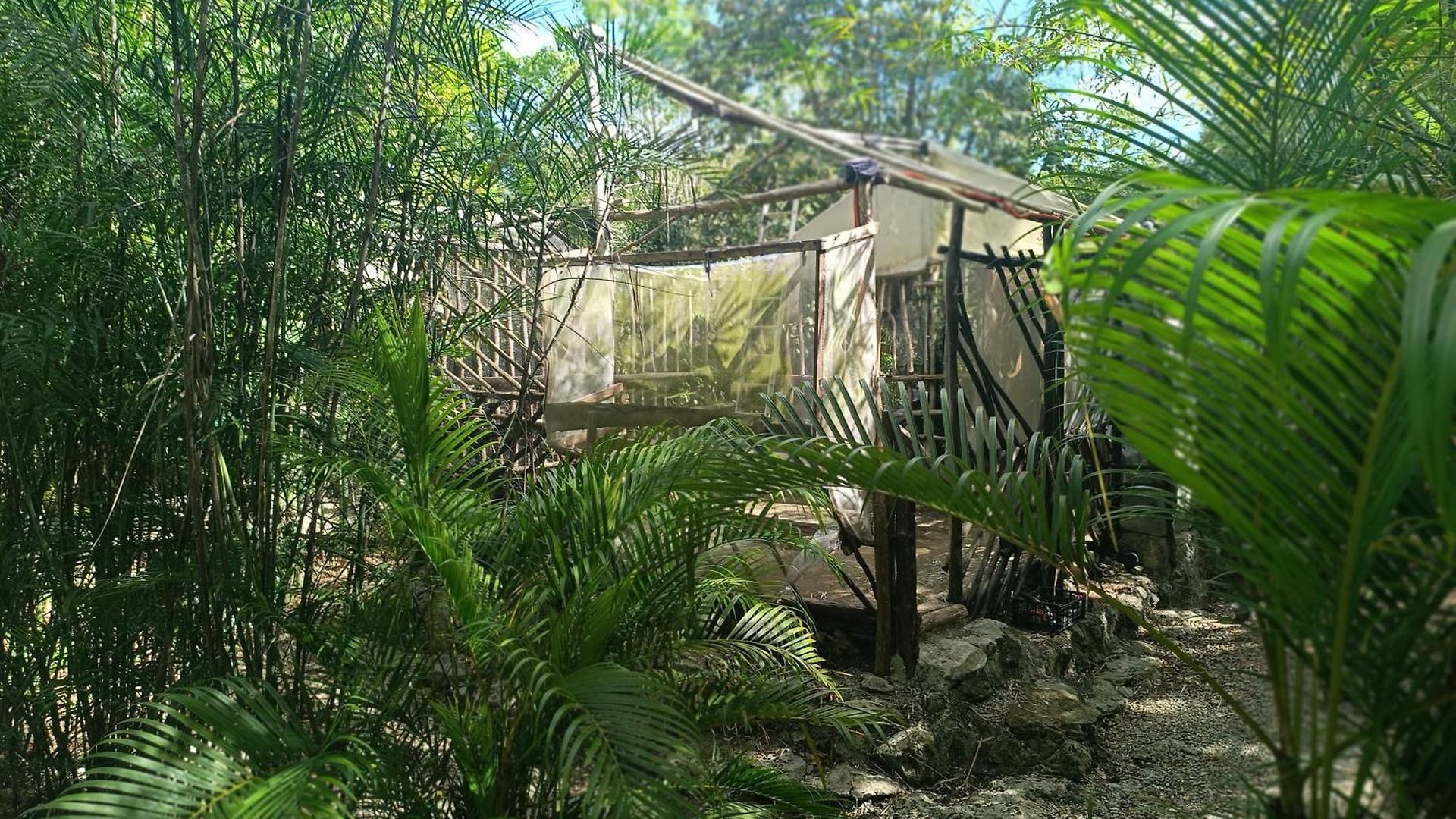 Space For Your Tent * Tulum