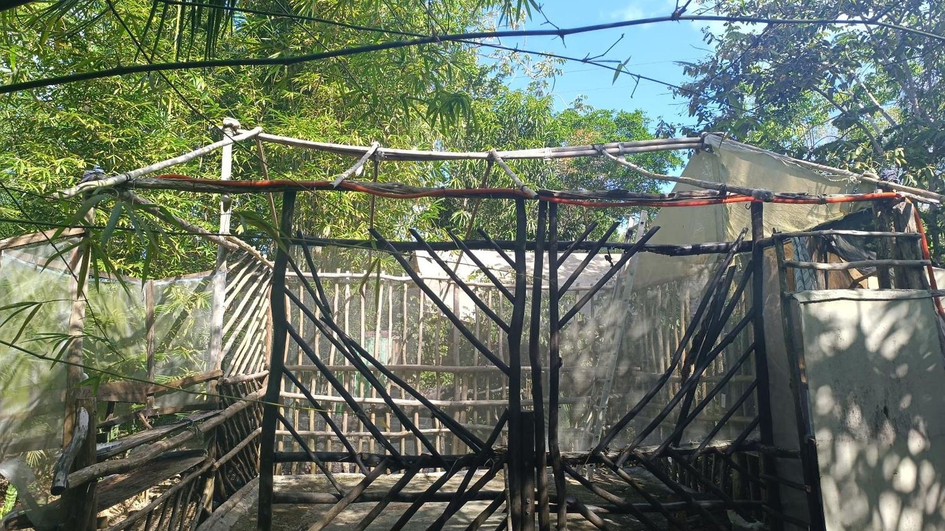 Campsite Space For Your Tent Tulum