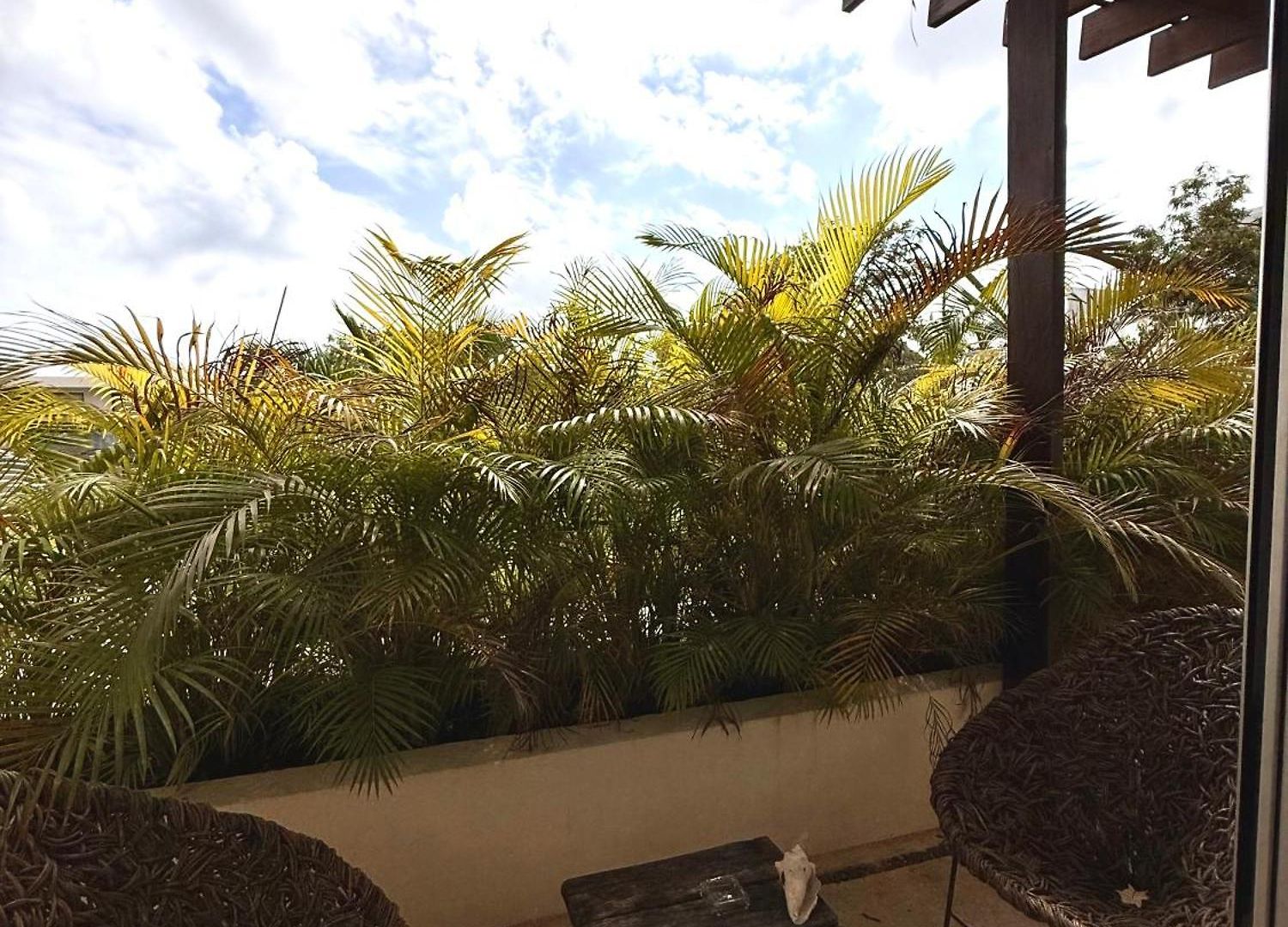 Xscapetulum 4*