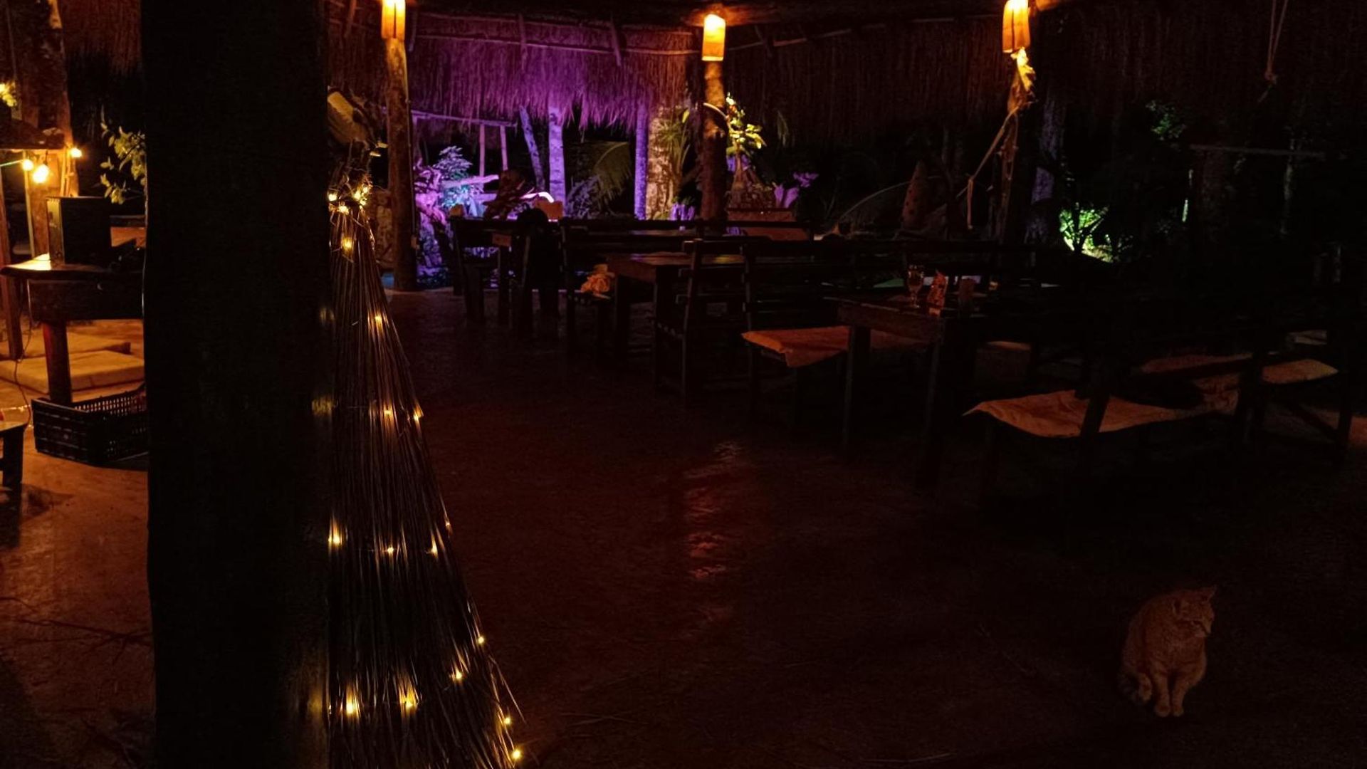 Zapote En Rancho Jaguares Jungle Retreat * Tulum