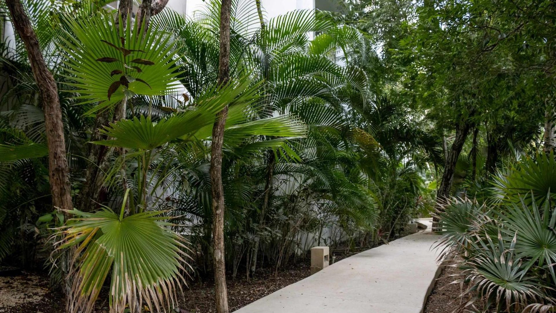 Modern With 2 Bdr Gym & Pool Apartamento Tulum