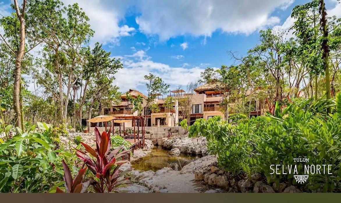 Hotel Jungle 4*