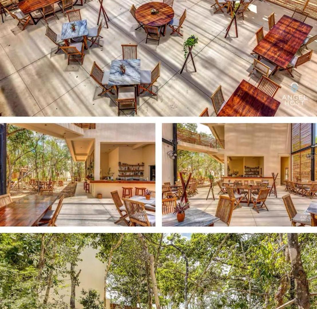 Jungle 4*