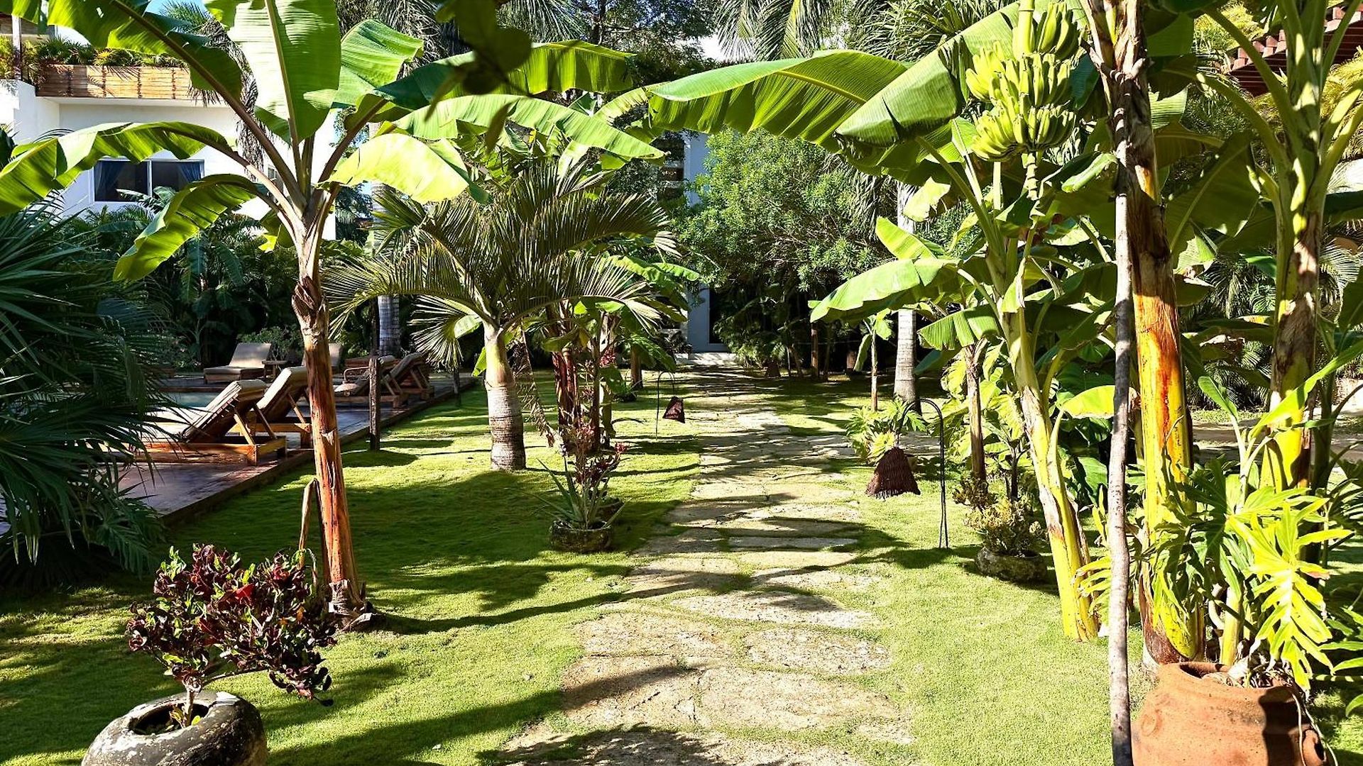 Xscapetulum 4* Tulum