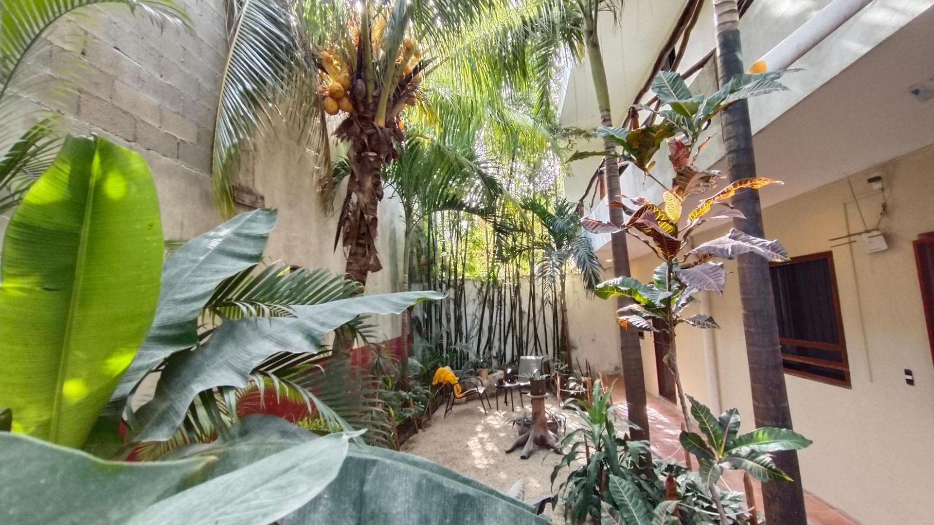 Casa Lupita 4*