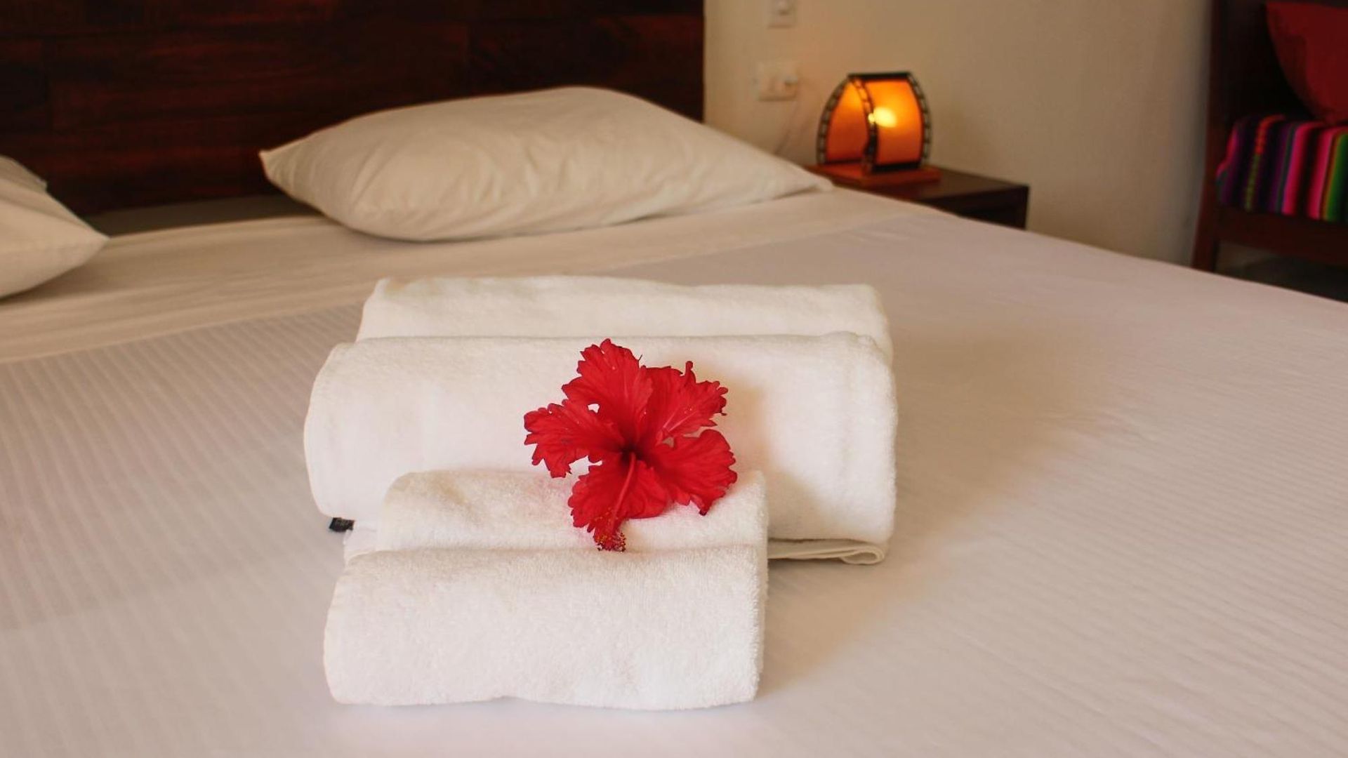 Basic Hotel 3*