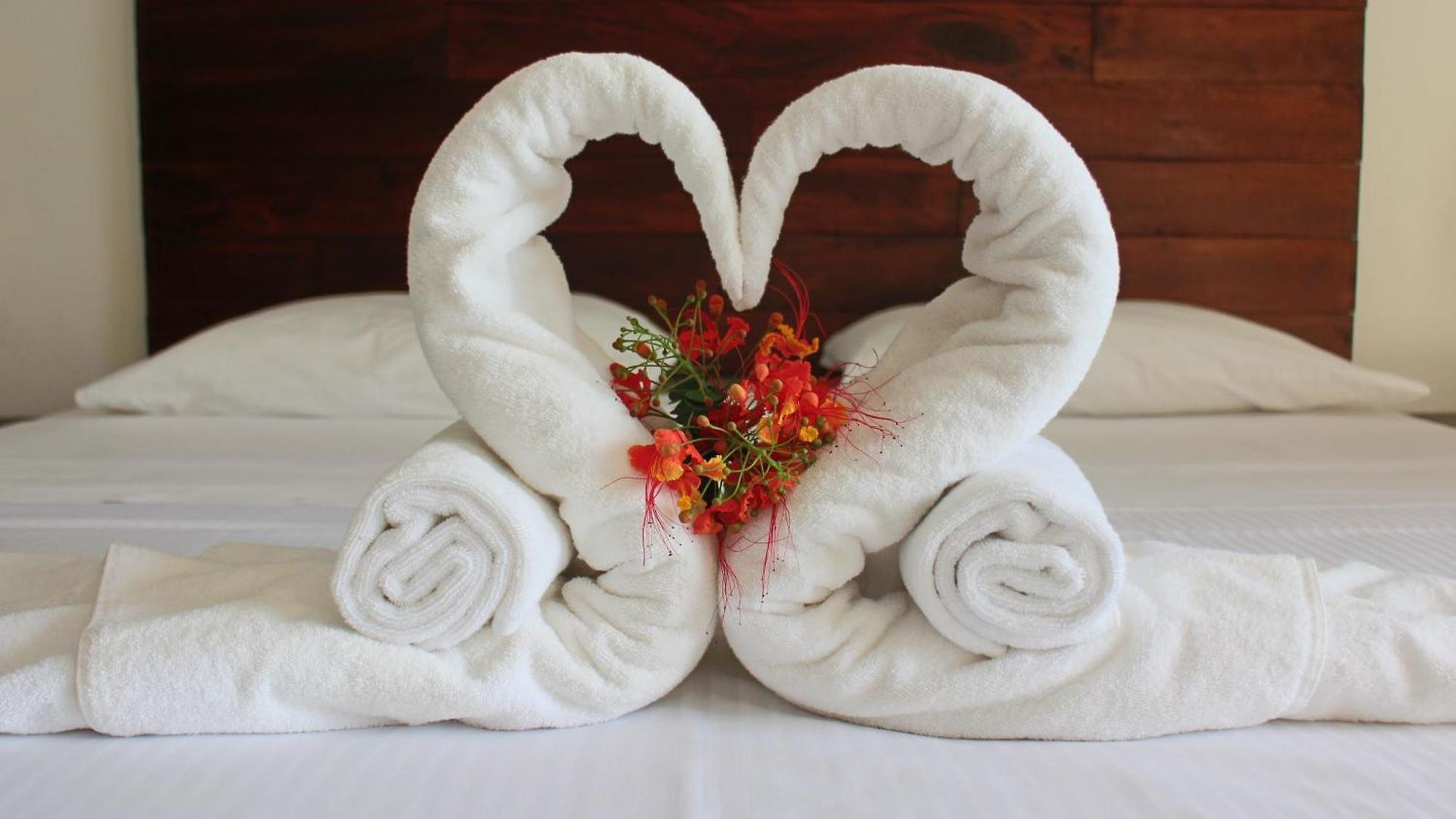 Hotel Basic 3*