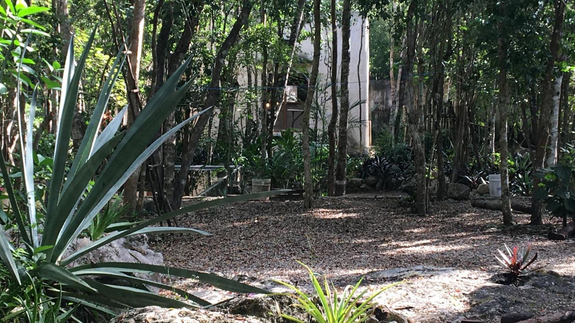 Barefoot Jungle 4* Tulum