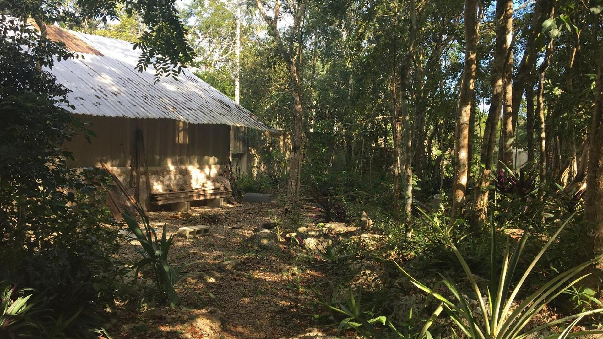 Barefoot Jungle Guest house 4*