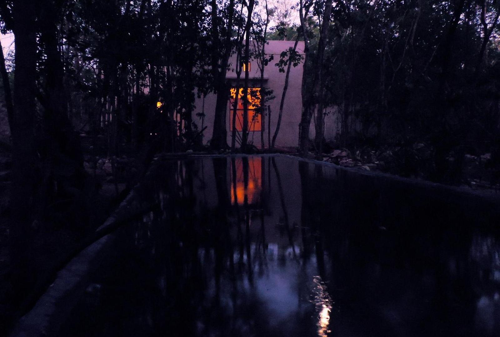 Barefoot Jungle