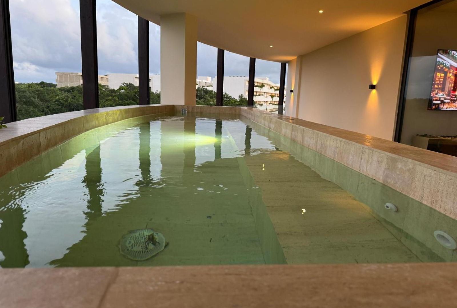 Luxury Jaguar Penthouse Private Pool Tulum