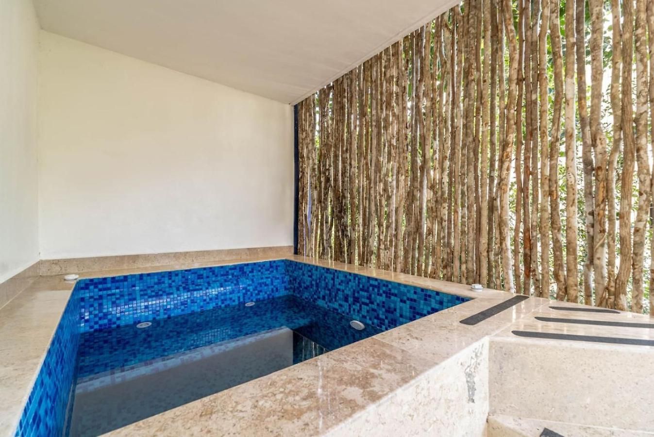 Apartment Lux 2 Bd With Private Plunge Pool, Terrace