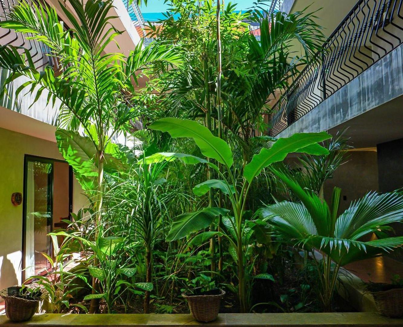 Hotel Calea Boutique Tulum