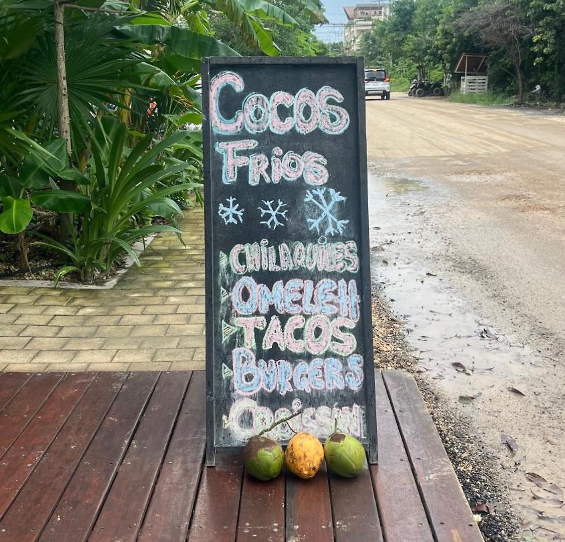 Cacao Estudio Particular Tulum
