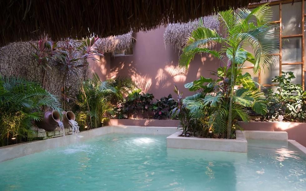 Villa Jungle -steps To The And Restaurants! *