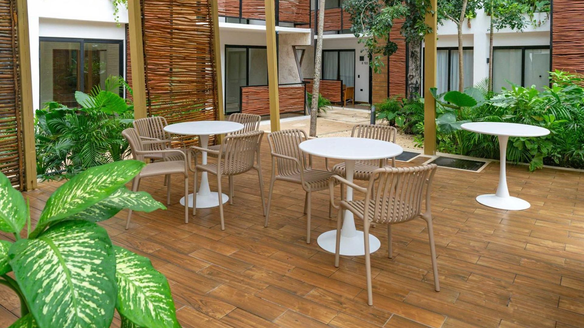 Apartment Pool & Rooftop In 2 Bedrooms