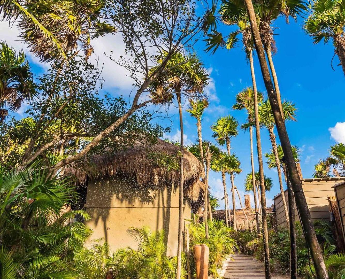 Phoenix * Tulum