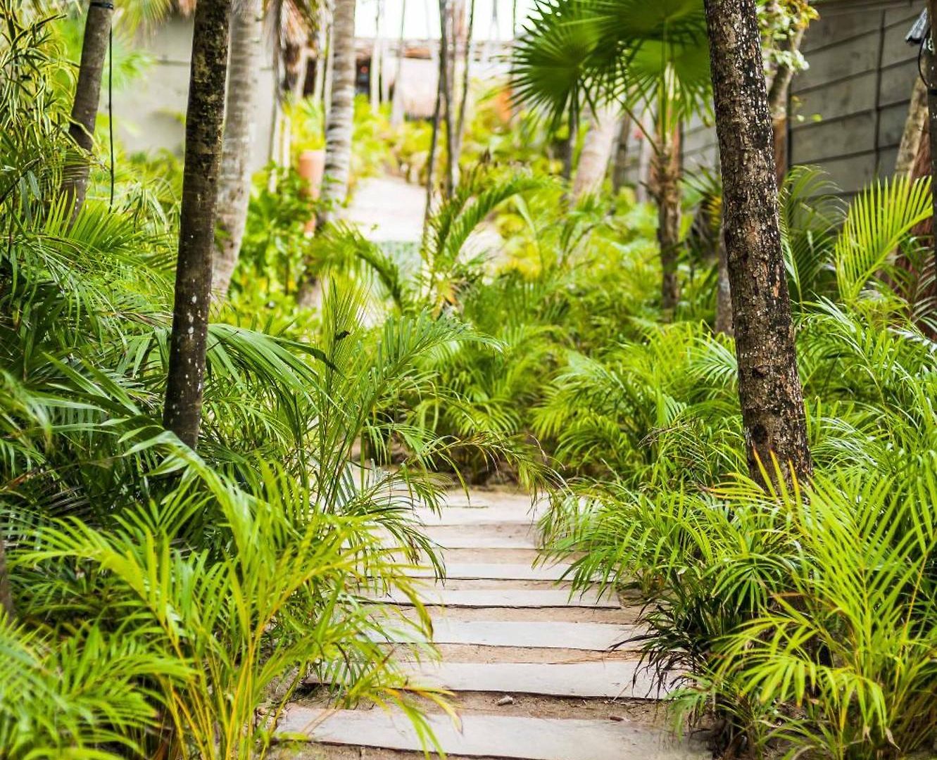 Phoenix Tulum