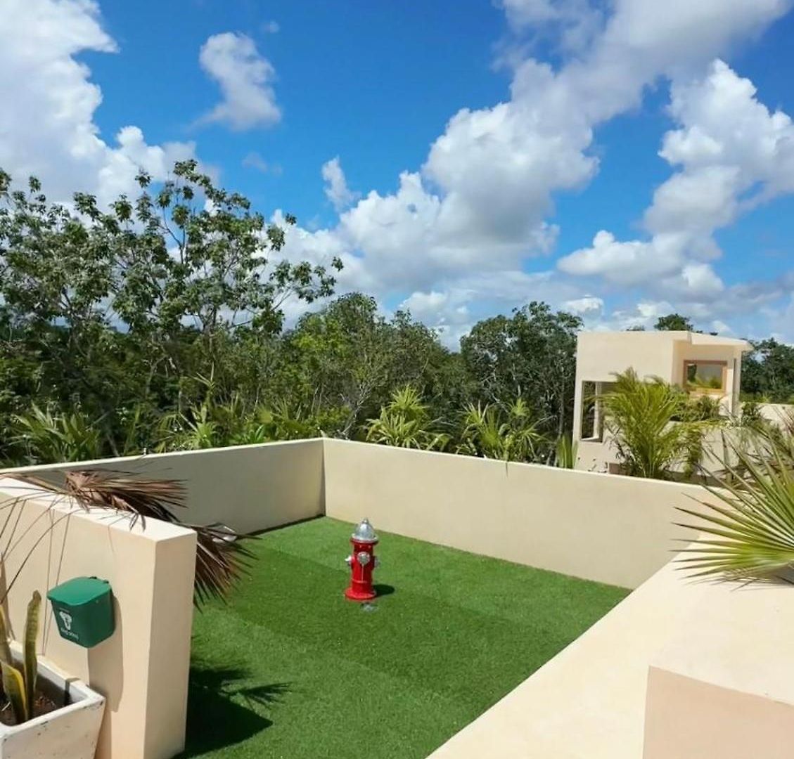 Cocay Welcome To The Jungle Tulum