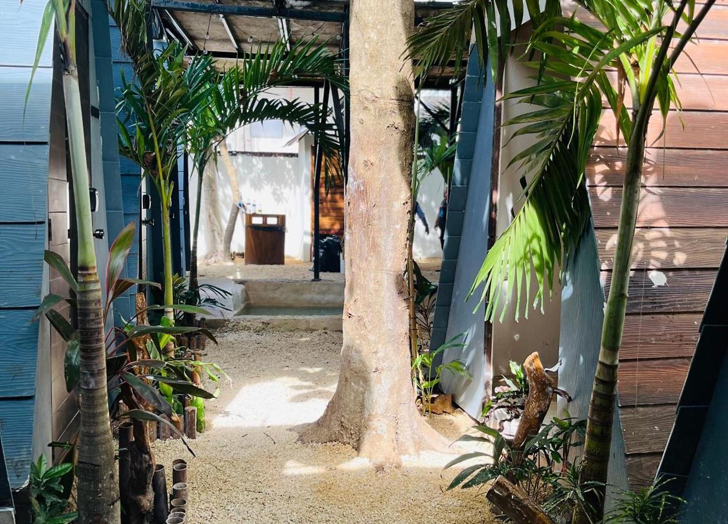 Kaibil Balam * Tulum