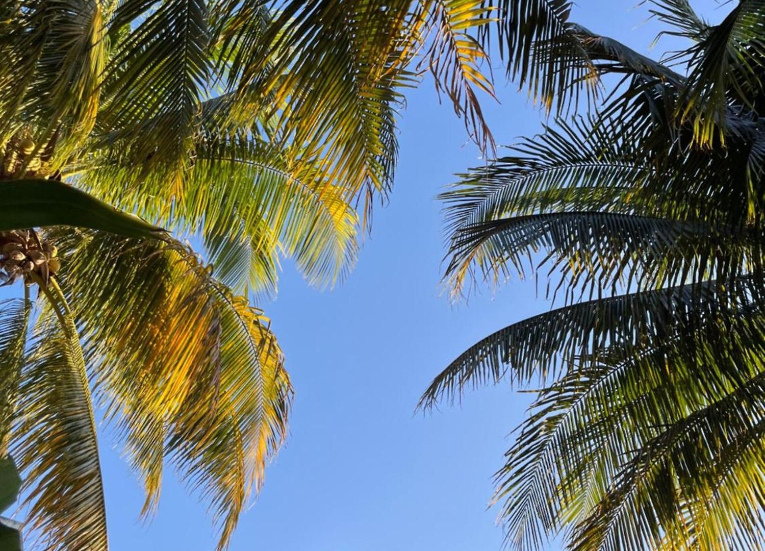 Lumina Tulum