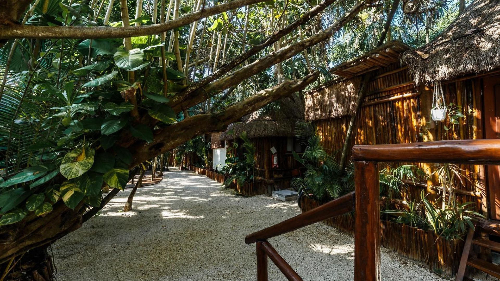 Co.bañitas * Tulum