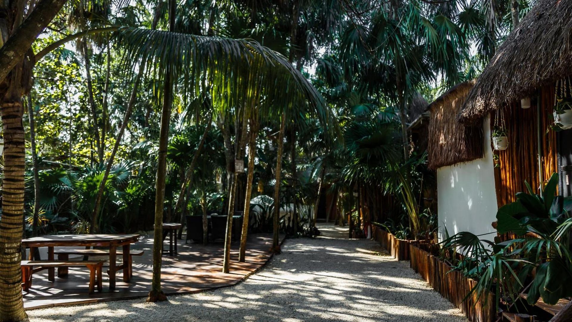 Hotel Co.bañitas *