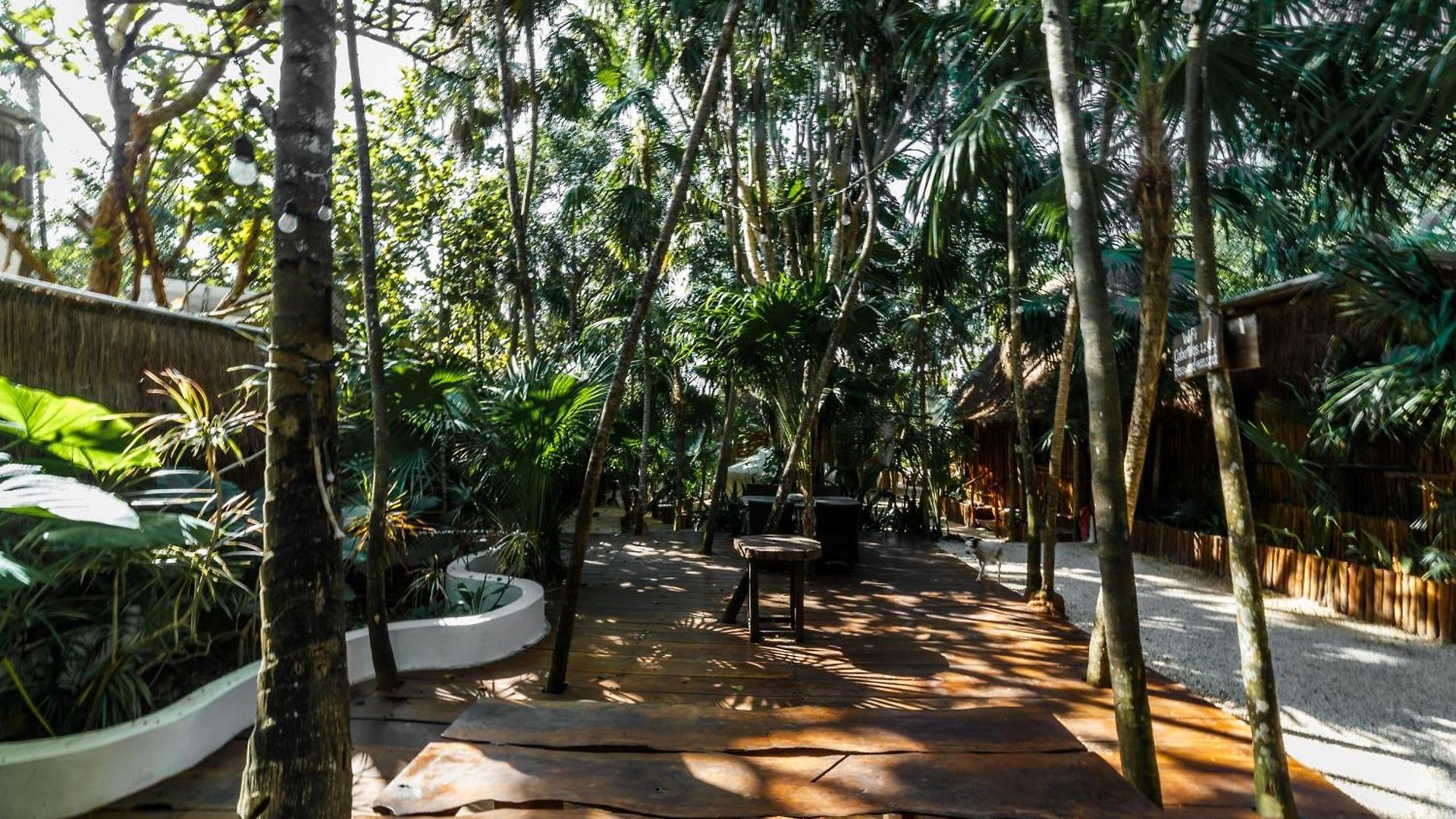 Co.bañitas Hotel