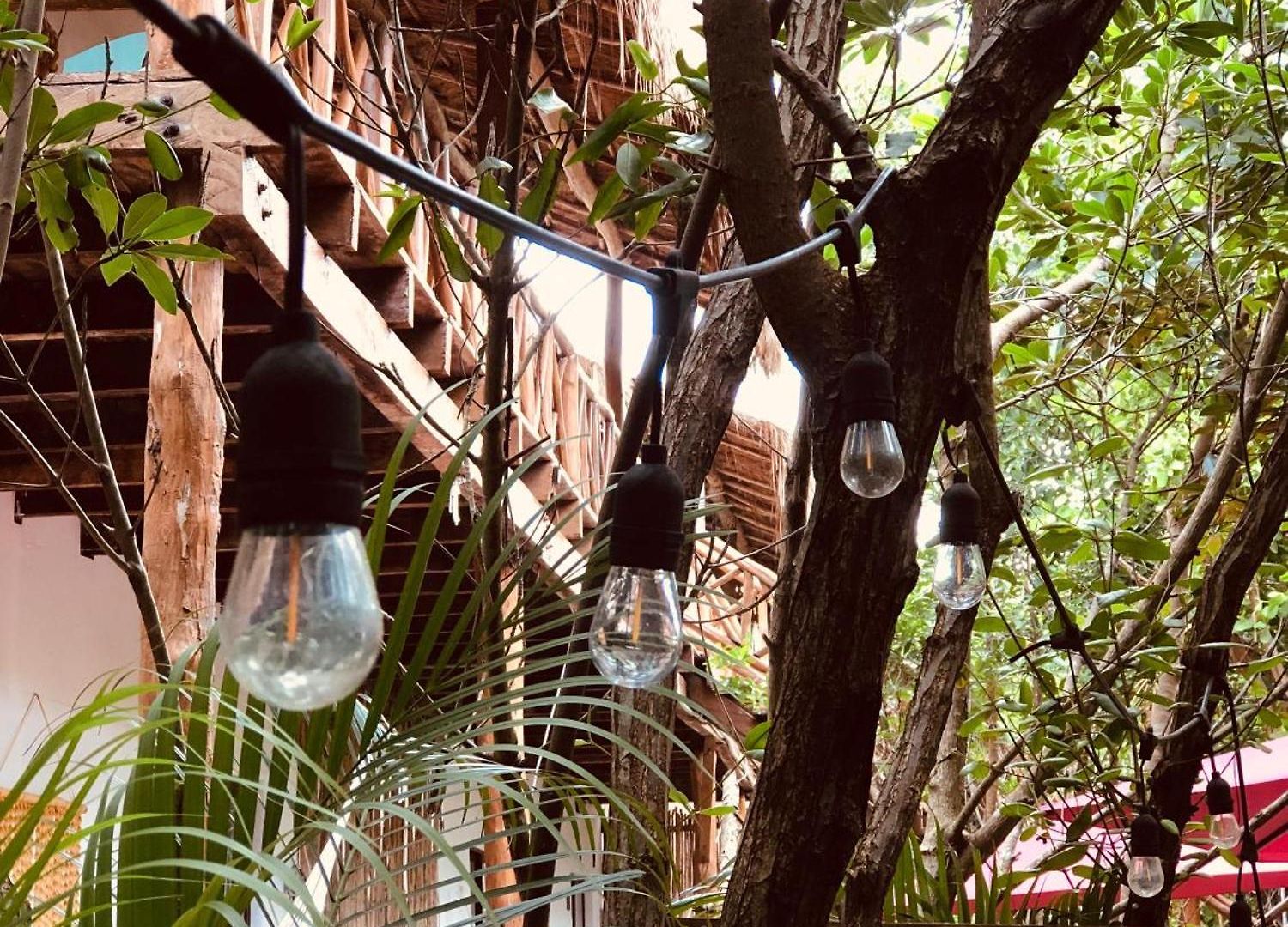 - Aldea Mangle&cenote * Tulum