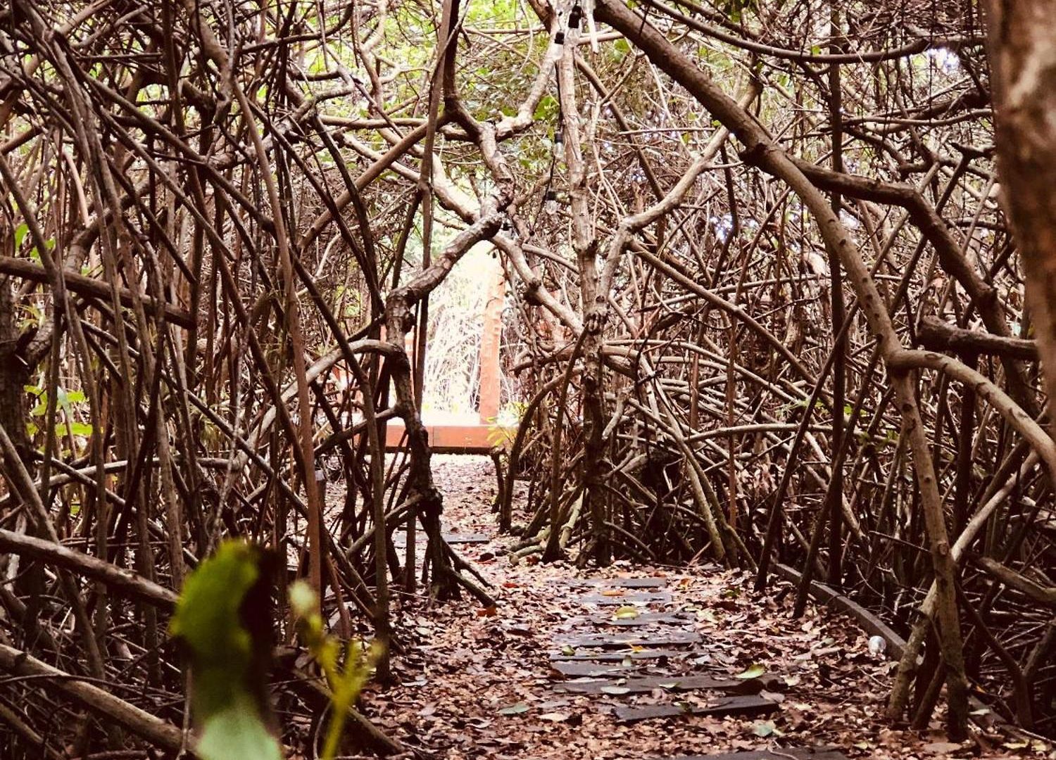 - Aldea Mangle&cenote Lodge