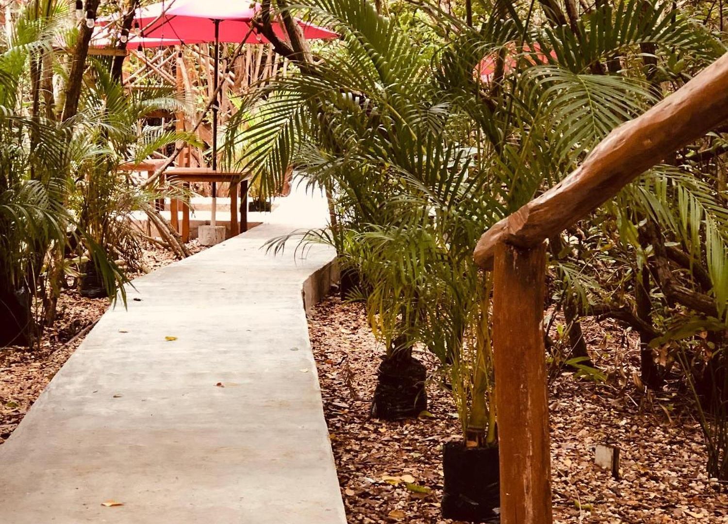 - Aldea Mangle&cenote Lodge *