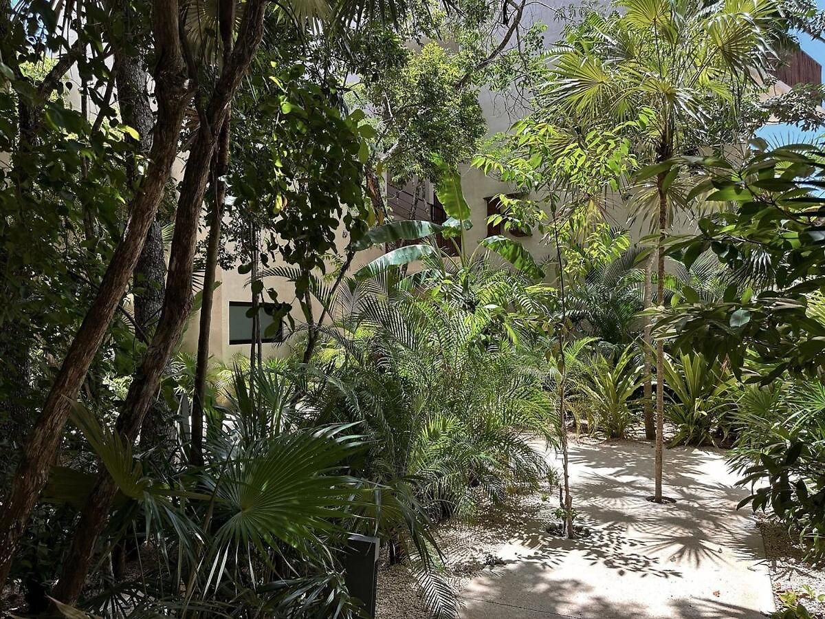 1 Bedroom Ophelia 311 Apartamento *