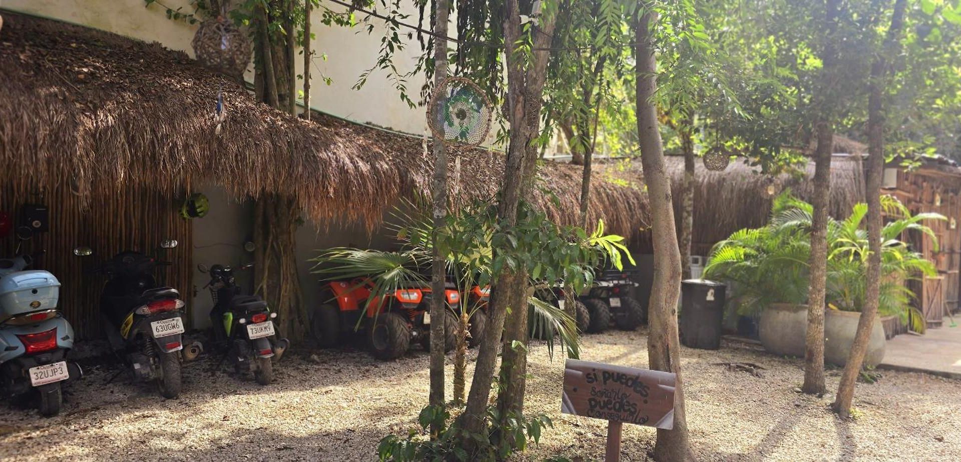 Kin Jungle Deluxe 4*