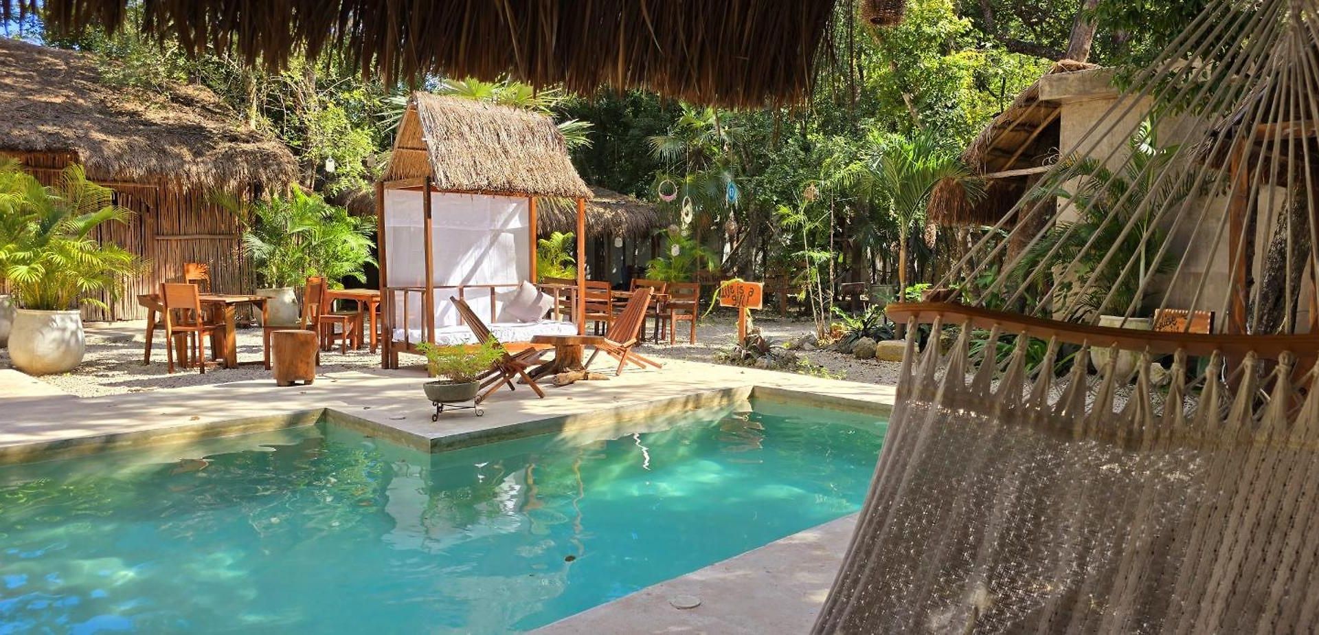 Kin Jungle Deluxe Pensión 4*