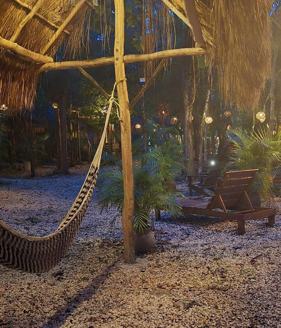 Kin Jungle Deluxe Pensión