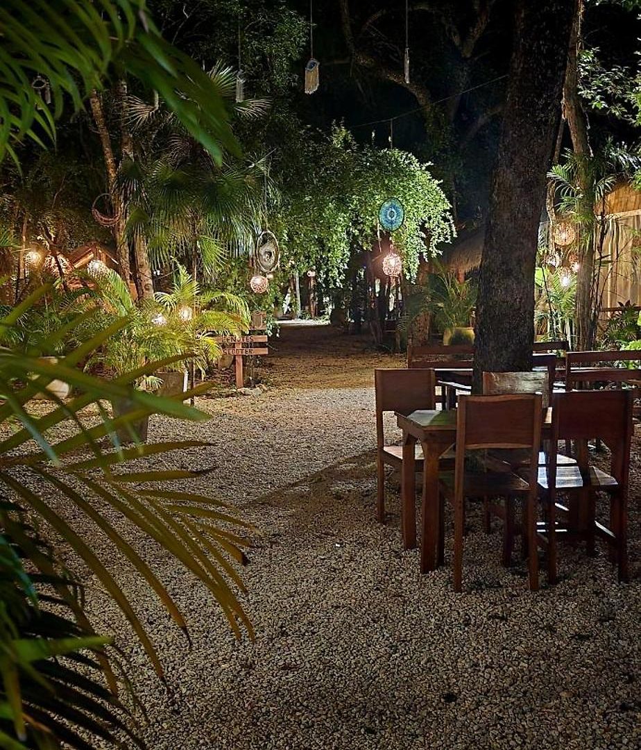 Kin Jungle Deluxe Pensión 4*
