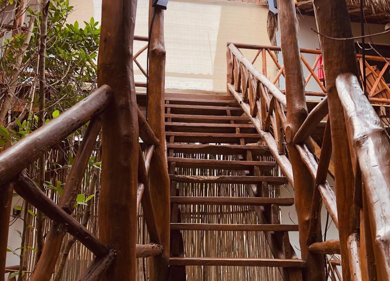 - Aldea Mangle&cenote Lodge