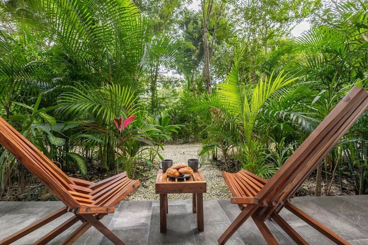 Apartment Luxurious At Mistiq Temple Ii Loft And Penthouse Tulum