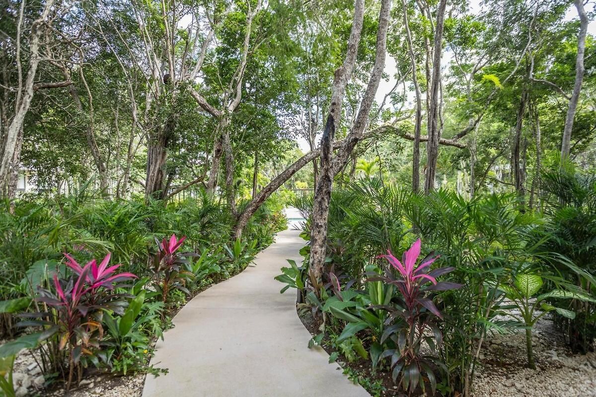 Luxurious At Mistiq Temple Ii Loft And Penthouse Tulum