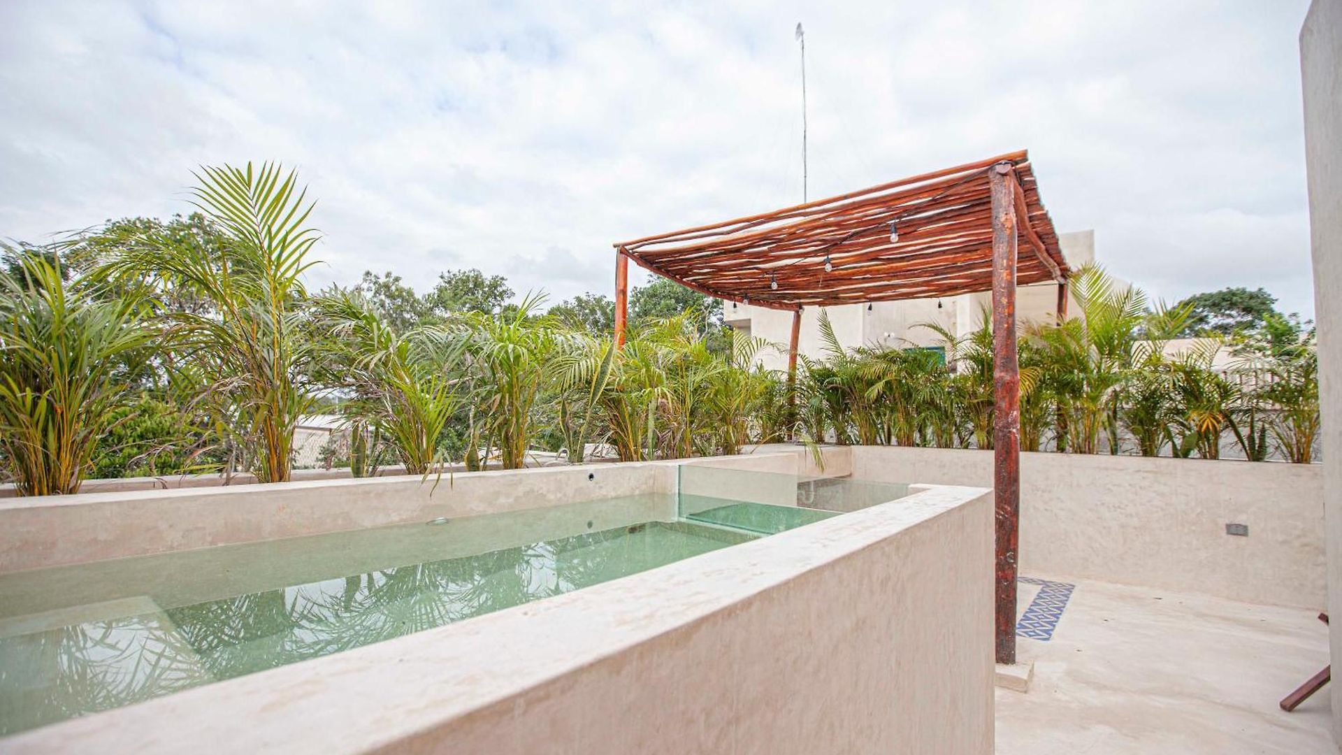 Apartamento Calma Jungle *