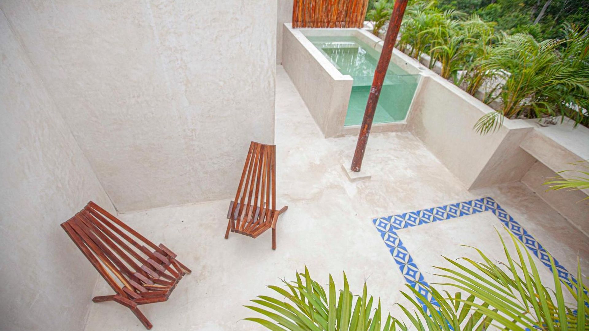 Apartamento Calma Jungle *