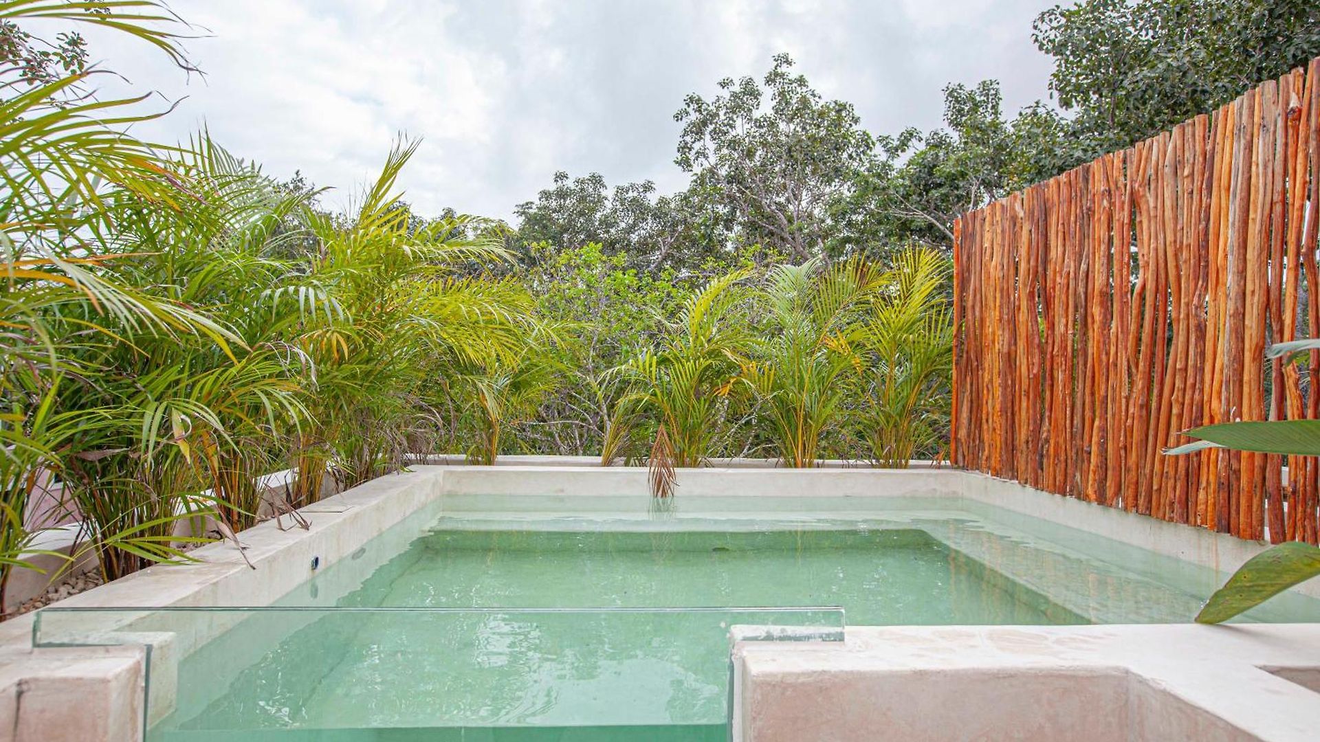 Calma Jungle * Tulum