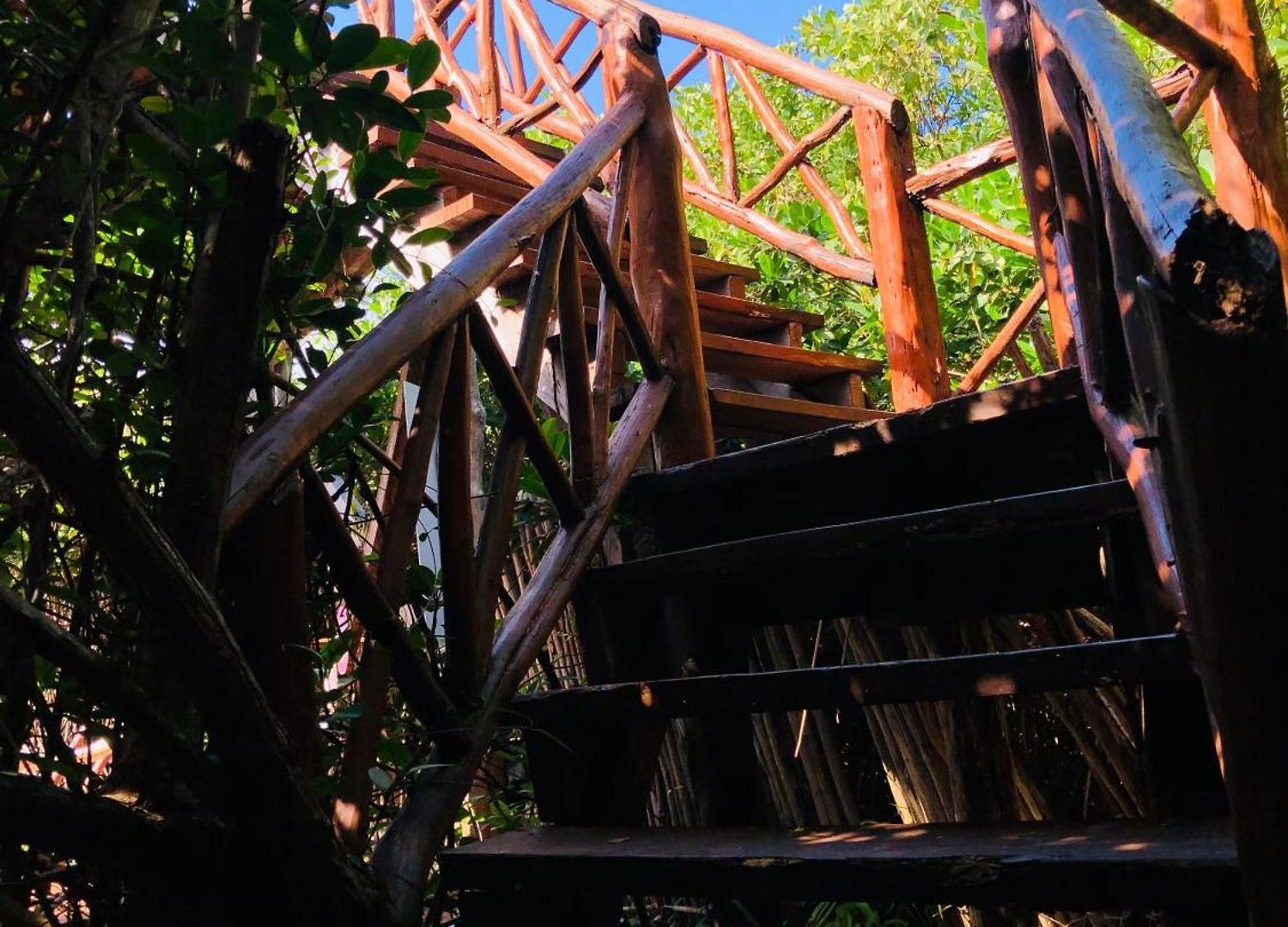 Lodge - Aldea Mangle&cenote *