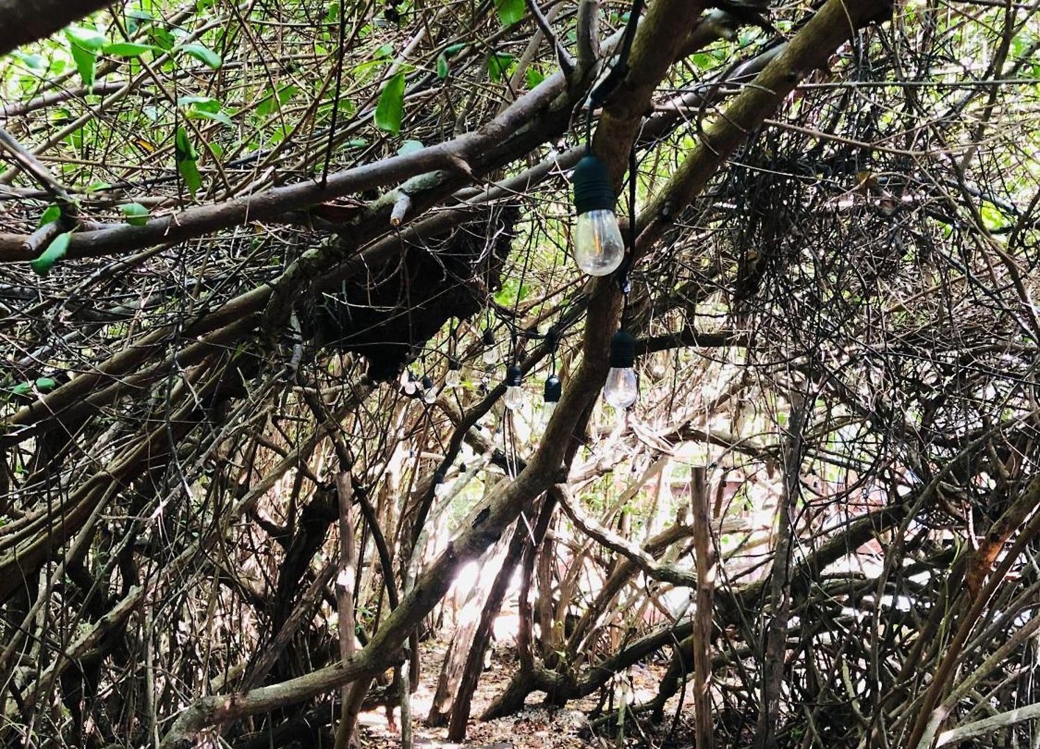 - Aldea Mangle&cenote