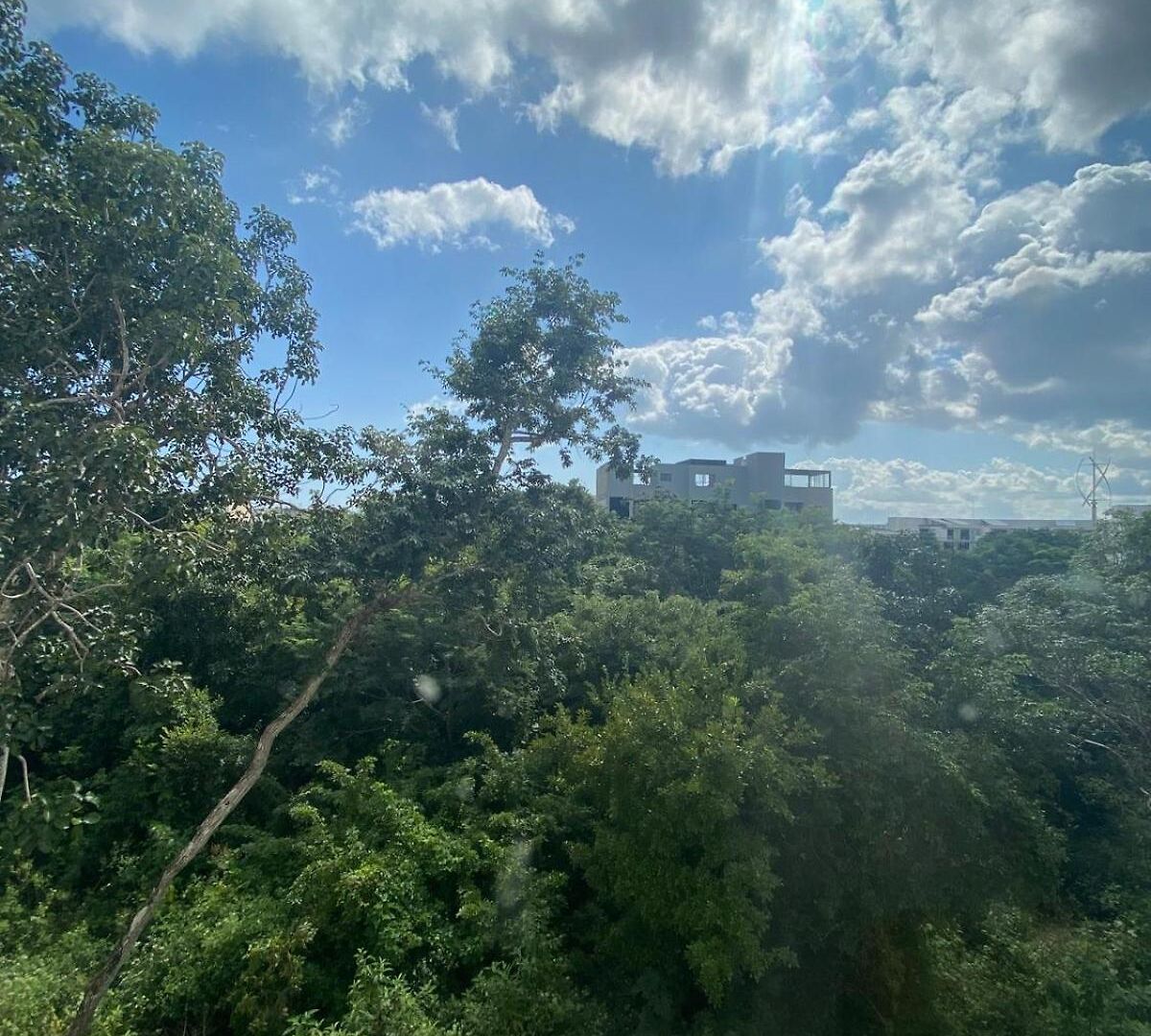 3 Bedroom Jungle - Private Pool - La Veleta Apartamento *