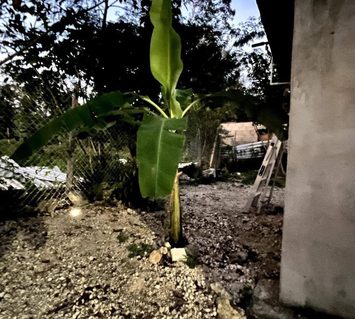 Linda Casa Privada En La Naturaleza De Tulum!!!
